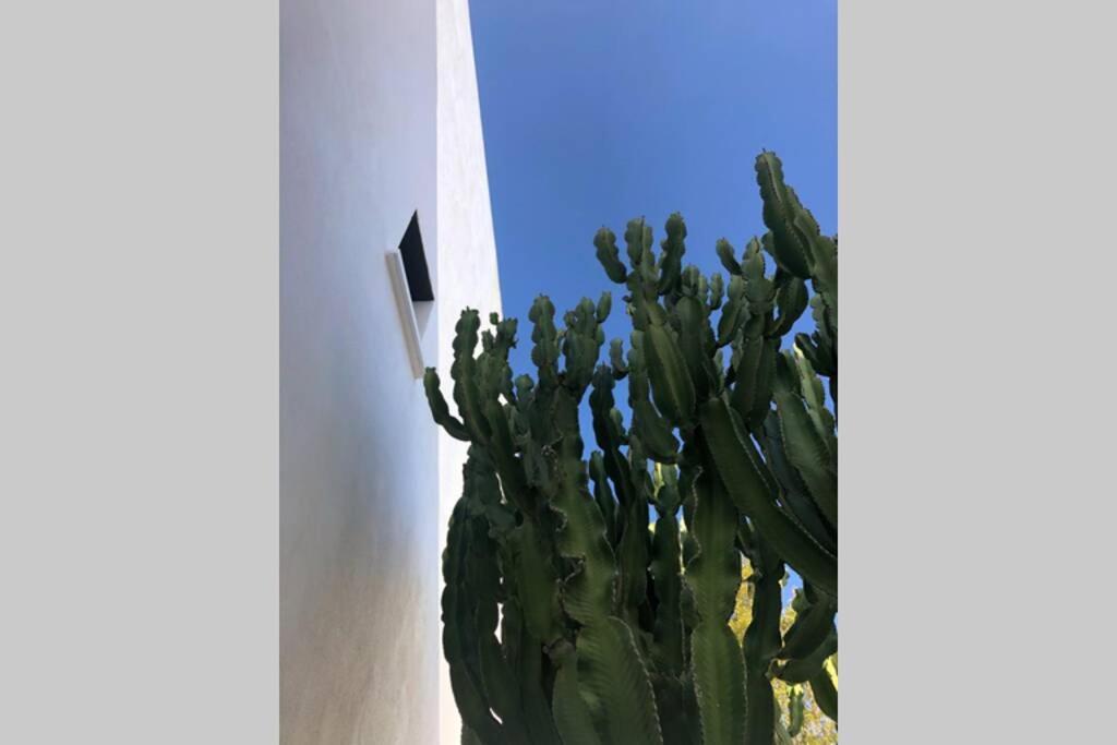 CASA GRANADO en Cabo de Gata Rodalquilar Exterior foto